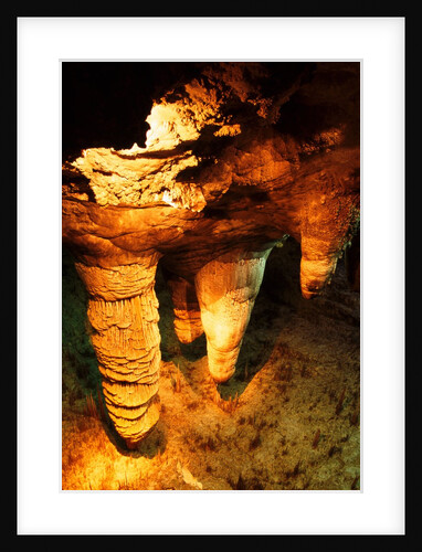 Carlsbad dripstone cave in New Mexico - USA by Anonymous