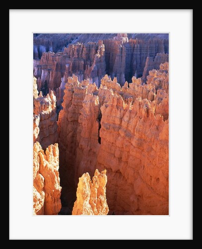 USA, Utah, Bryce Canyon by Anonymous