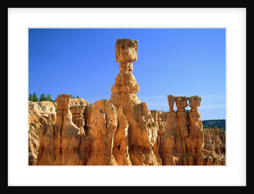 USA, Utah, Bryce Canyon by Anonymous