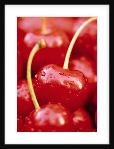 Cherrys by Anonymous
