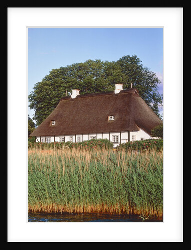 Half timbered house with reed roof by Anonymous