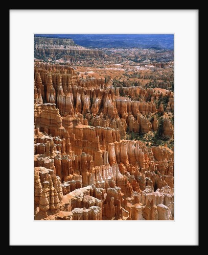 USA, Utah, Bryce Canyon by Anonymous