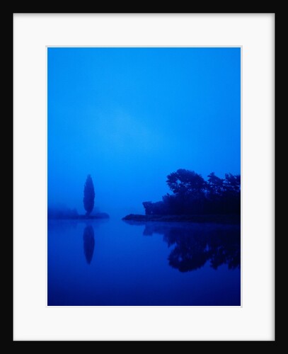 Landscape around a lake in the dawn by Anonymous