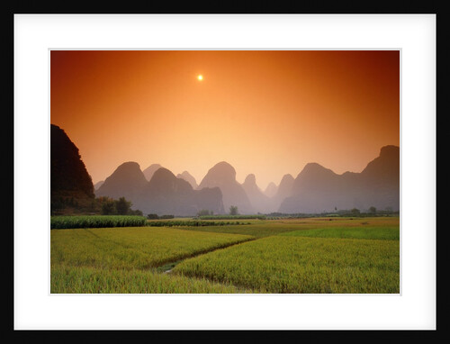 Rice fields an chalk mountains at twilight, Yangshou, Guangxi Province, China by Anonymous