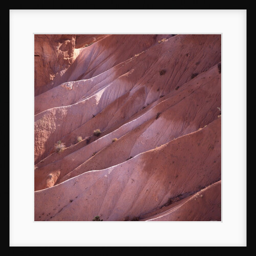 Sunrise Point, Bryce Canyon, Utah, USA by Anonymous