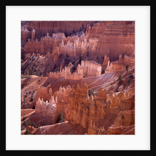 Sunset Point, Bryce Canyon, Utah, USA by Anonymous