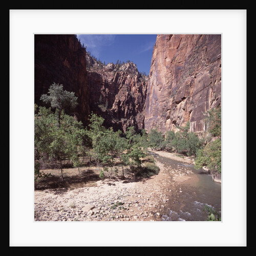Zion National Park, Utah, USA by Anonymous
