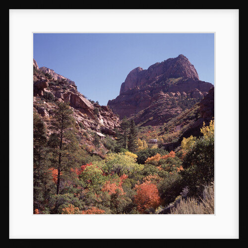 Kolob Canyon, Zion National Park, Utah, USA by Anonymous