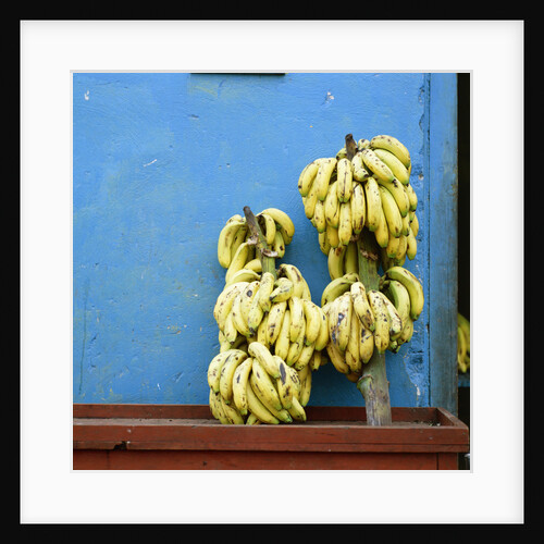 Bananas in front of blue wall, San Cristobal de las Casas, Mexico by Anonymous