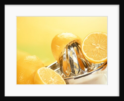 Lemons and a fruit-press by Anonymous