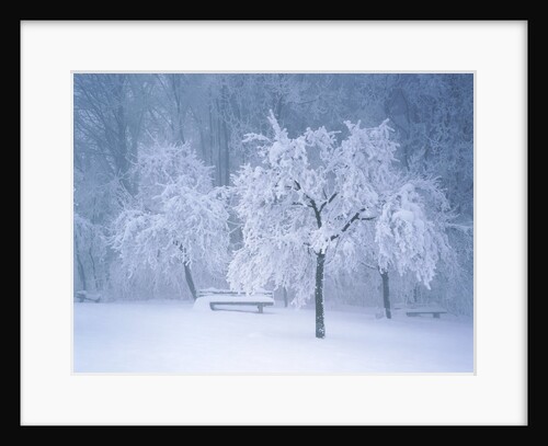 Landscape with bench in winter by Anonymous