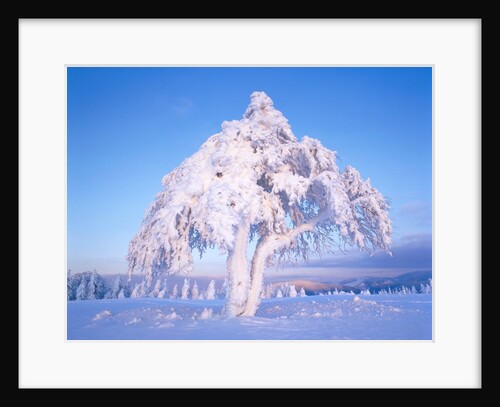 Snow scene in winter by Anonymous