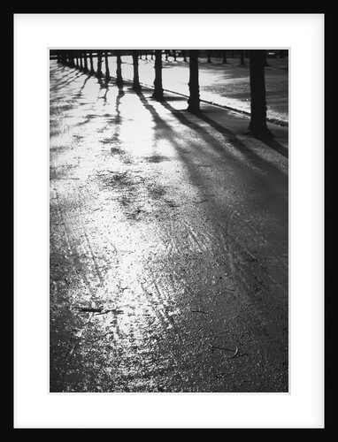 Sunlight reflecting on wet road by Anonymous