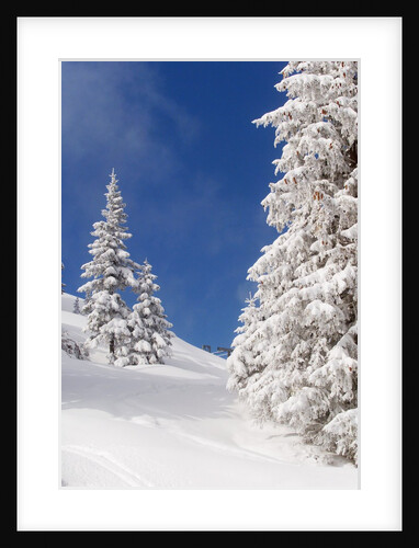 Snowcovered landscape by Anonymous