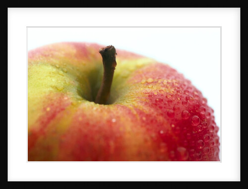 Apple and stem by Anonymous