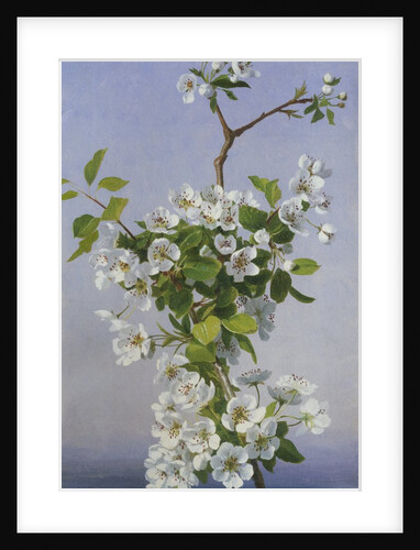 Blossom by Sophie Anderson