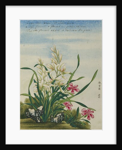 A Joss Flower, A Flower in Great Esteem Chinese Watercolor by Anonymous