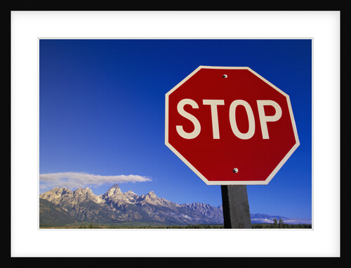 Stop Sign Near Teton Range, Wyoming by Anonymous