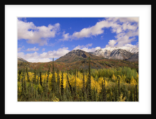 Ogilvie Mountains in Fall, Yukon by Anonymous