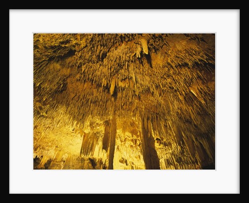 Stalactities on Ceiling of Damlatas Cavern by Anonymous