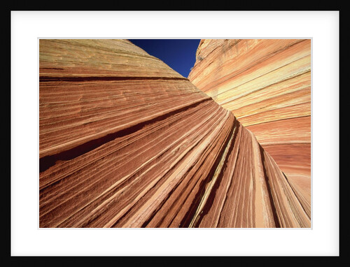 Sedimentary Pattern on Rock USA by Anonymous