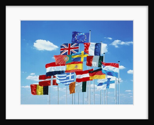 National flags of the European Community by Anonymous