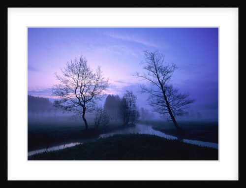 Misty river and forest at dusk, Baden-Wuerttemberg, Germany by Anonymous
