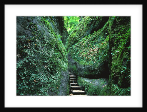 Stairs to the Mary's gorge by Anonymous
