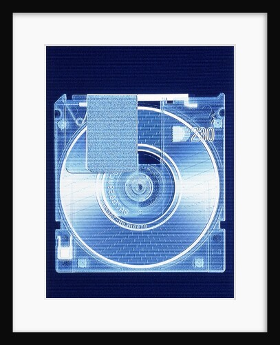 Floppy Disk by Anonymous