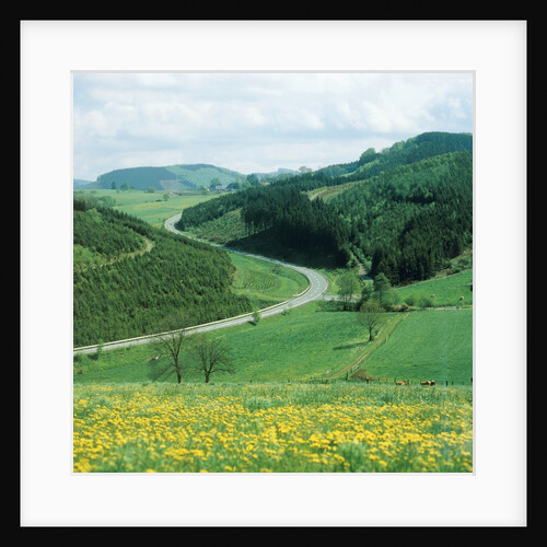 Landscape and country road in the Sauerland, Germany by Anonymous