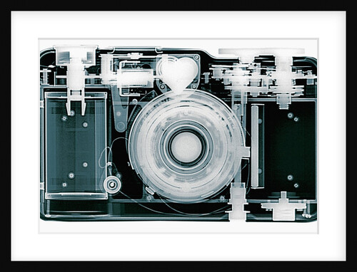 X-ray of Camera by Anonymous
