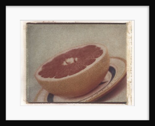 Grapefruit by Jennifer Kennard