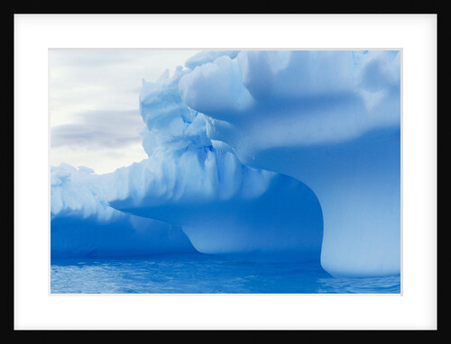 Iceberg by Anonymous