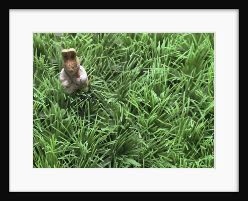 Easter bunny in grass by Anonymous