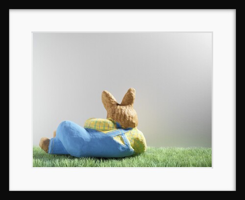 Easter bunny lying on grass by Anonymous