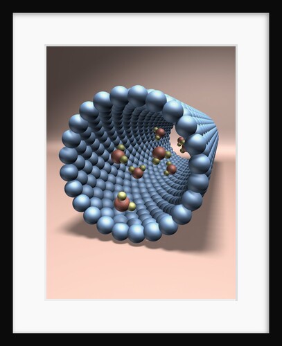 Model of Nanotube by Anonymous