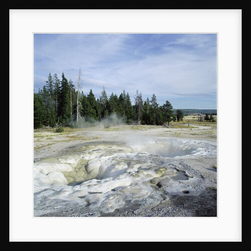 Geyser steaming, Yellowstone National Park, Wyoming, USA by Anonymous