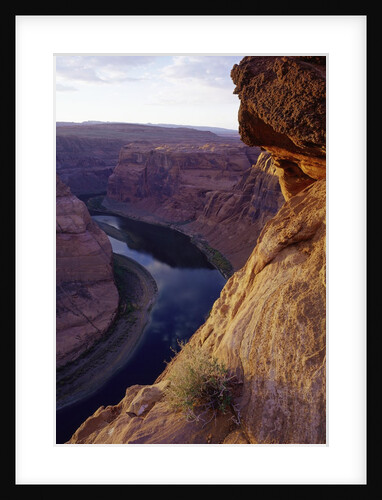 High angle view of Horseshoe Bend, Colorado River, Arizona, USA by Anonymous