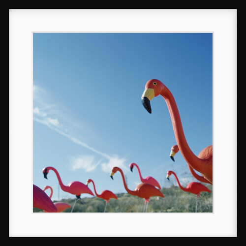 Pink flamingo lawn ornaments by Anonymous