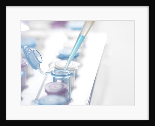 DNA Testing by Anonymous