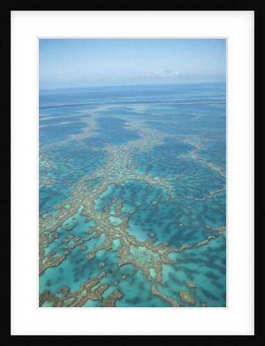 Aerial view of the Great Barrier Reef, Queensland, Australia by Anonymous