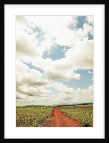 View of a red dirt road through a field by Anonymous