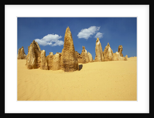The Pinnacles, Nambung National Park, Australia by Anonymous