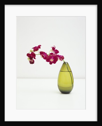 Orchid Flower in a Vase by Anonymous