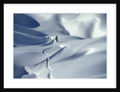 Snowboarder Riding in Powder Snow, Austria, Europe by Anonymous