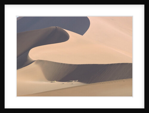 View of sand dunes in a desert by Anonymous