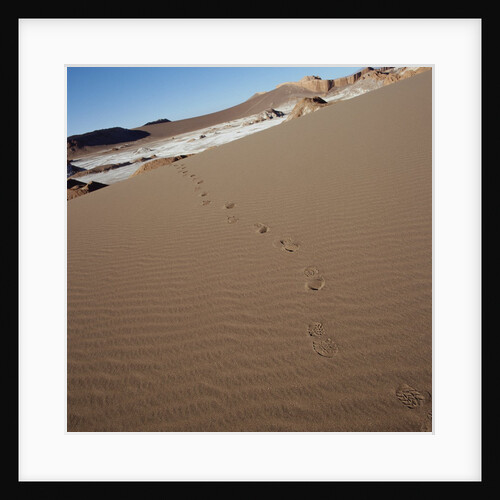 View of footprints leading over a sand dune by Anonymous