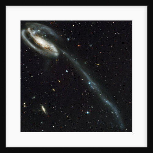 Galaxy with Trail of Stars by Anonymous