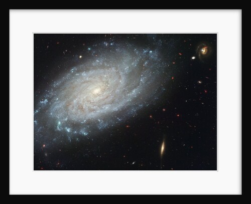 The spiral galaxy NGC 3370 by Anonymous