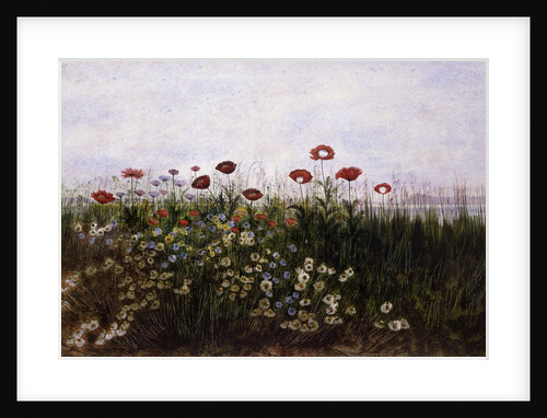 Flowers on the Irish Coast by Andrew Nicholl